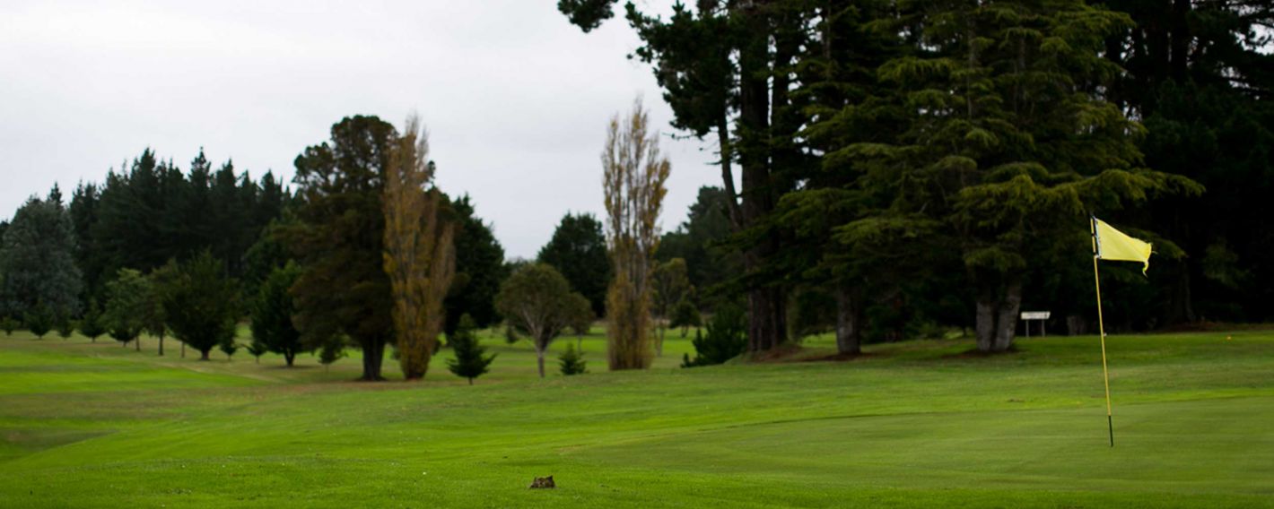 Waikouaiti Golf Course