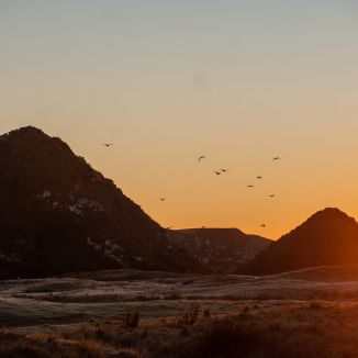 The Great Pyramids… Of Dunedin