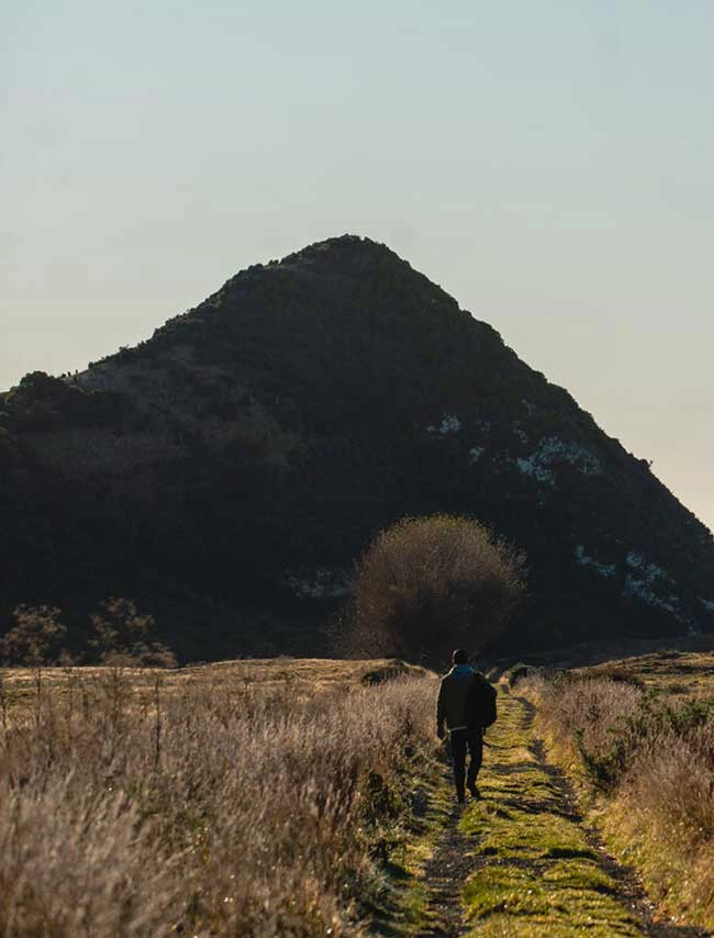 The Great Pyramids… Of Dunedin