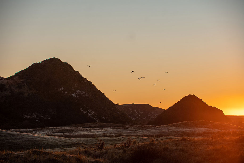 The Great Pyramids… Of Dunedin 