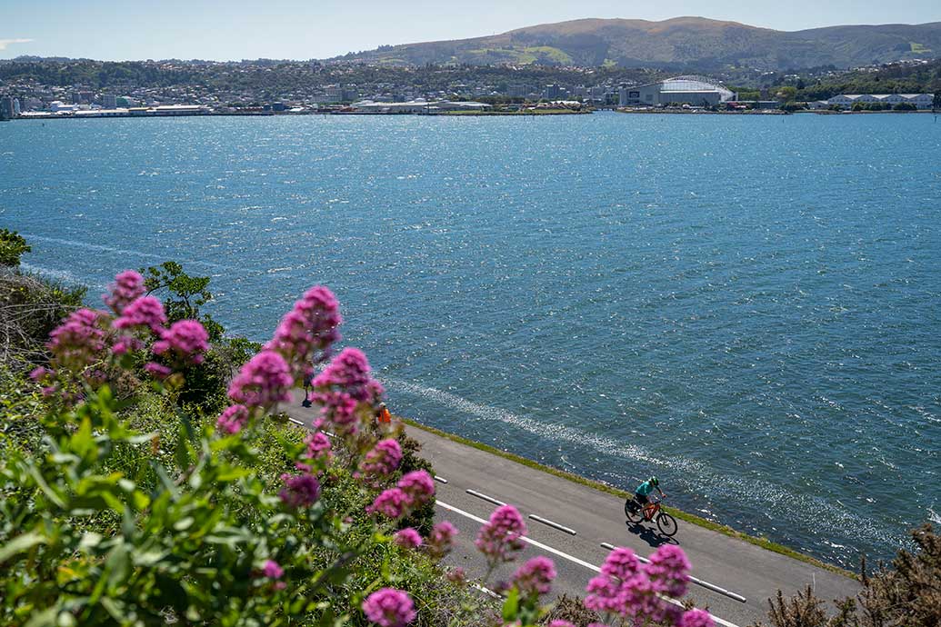 Hooning around Otago Harbour 
