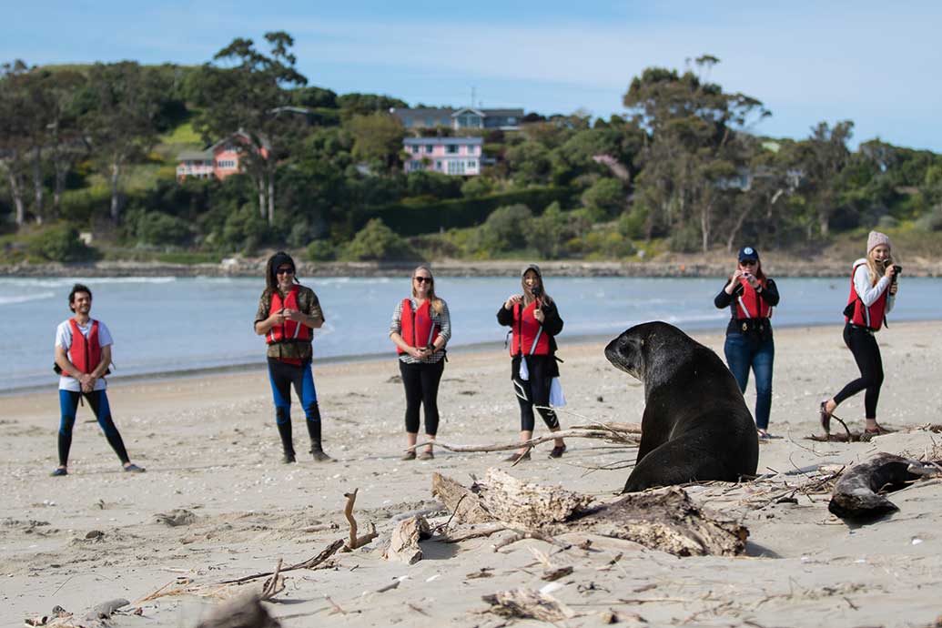 Paddle a waka with Karitane Maori Tours 