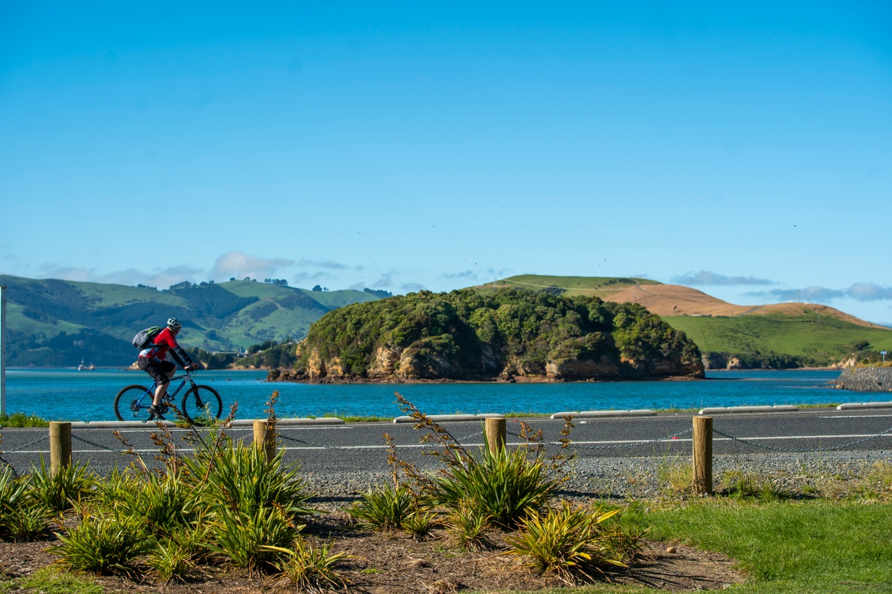 ACTIVITIES_CyclingStClair_001_DunedinNZ.jpg E-bike hire