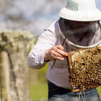 Blueskin Bay Honey