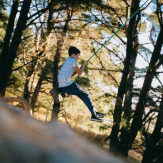 Hidden rope swings of Dunedin