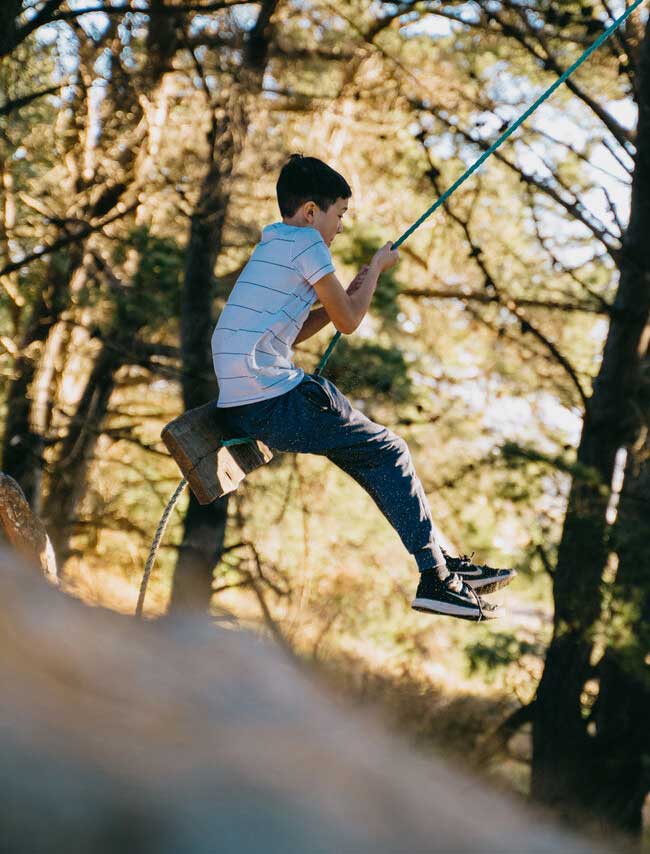 Hidden rope swings of Dunedin