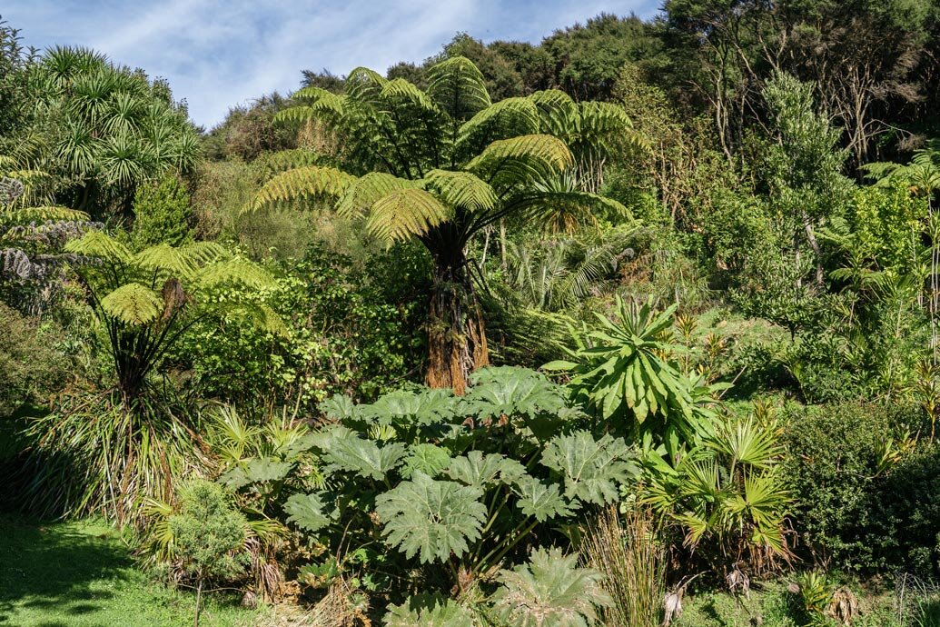 Hereweka Garden Retreat 