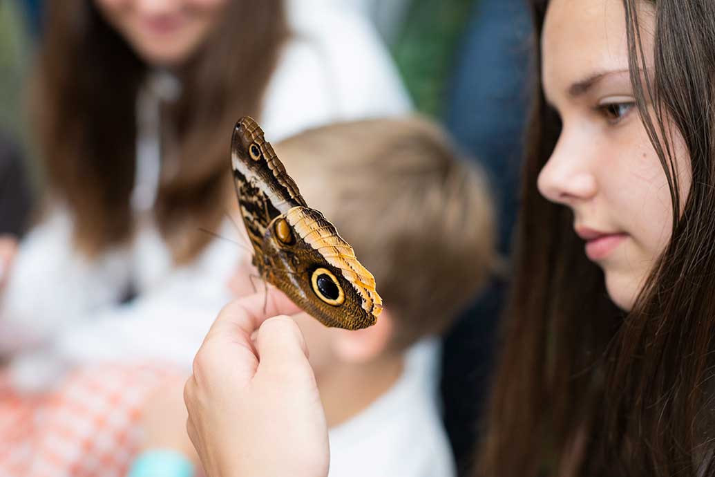 Kids love Otago Museum 