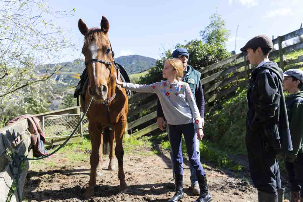 Hare Hill Horse Treks 