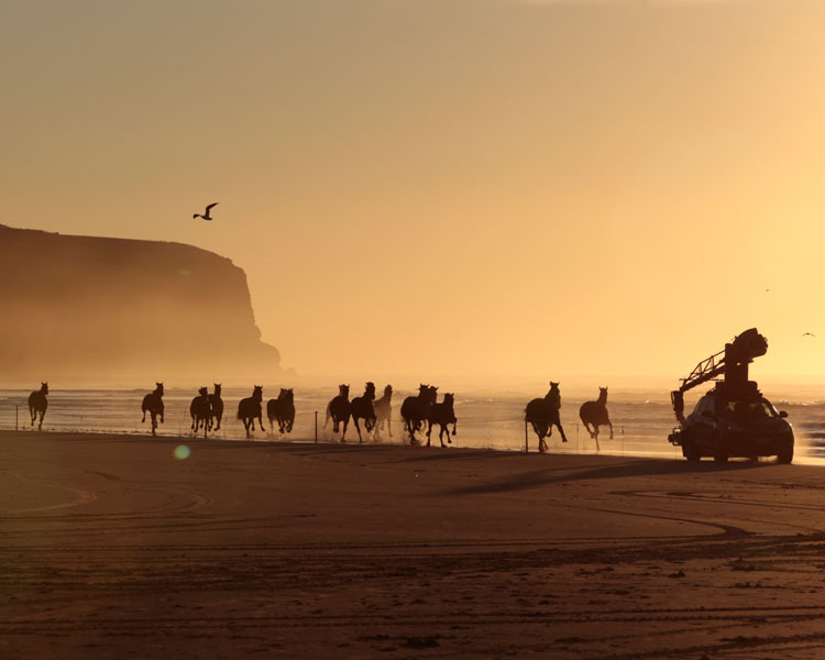 Lloyds Bank - The Running of the Horses