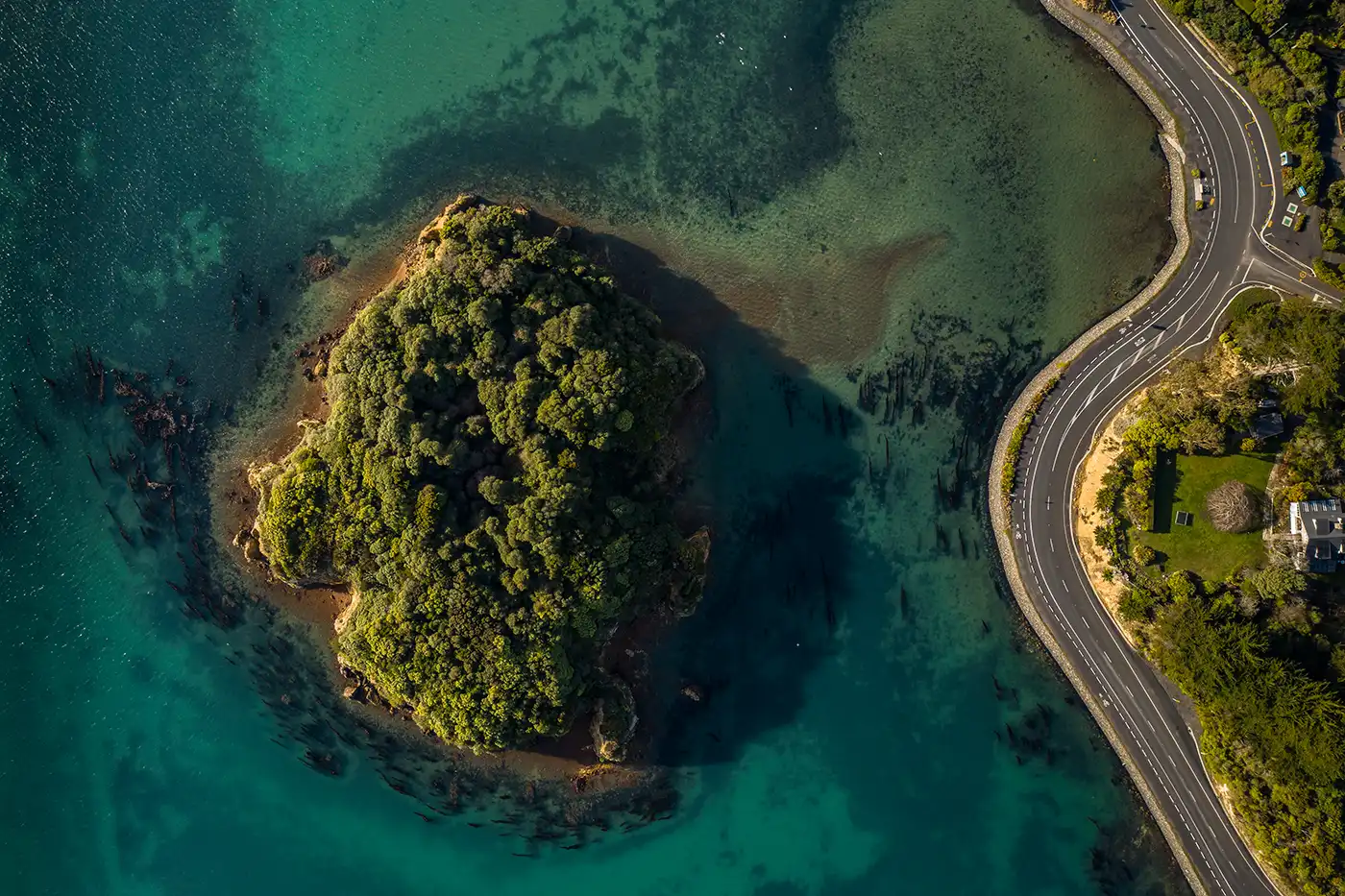 Peninsula cycleway from above