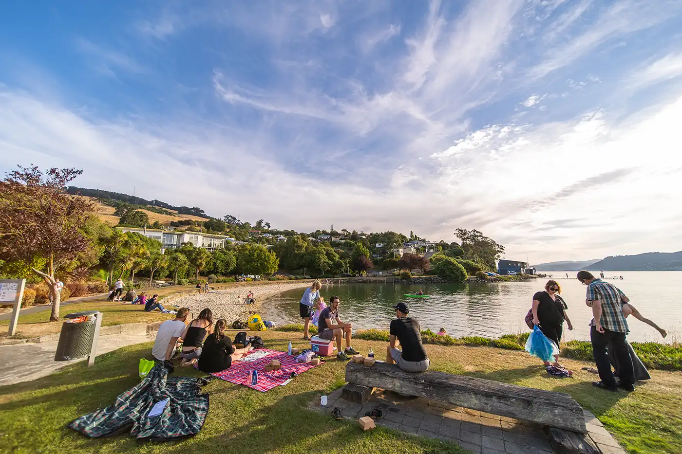 Macandrew Bay Summer