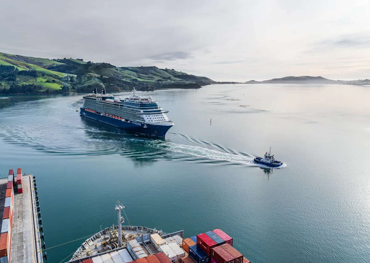 Ōtepoti Dunedin Cruise Guide