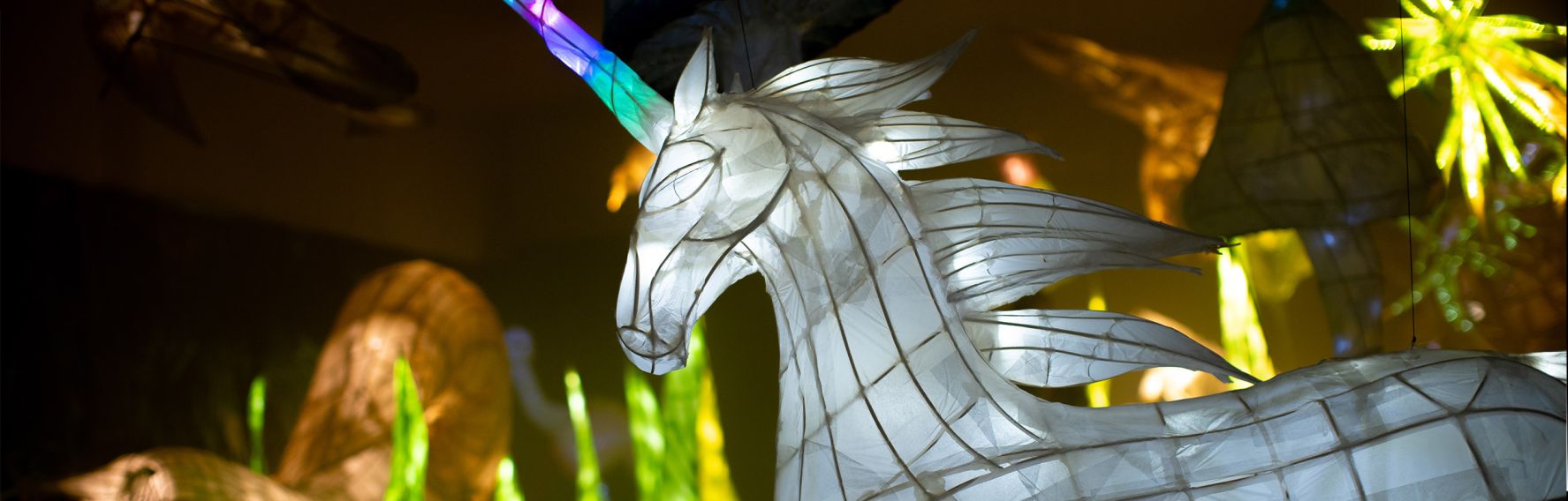 Midwinter Carnival