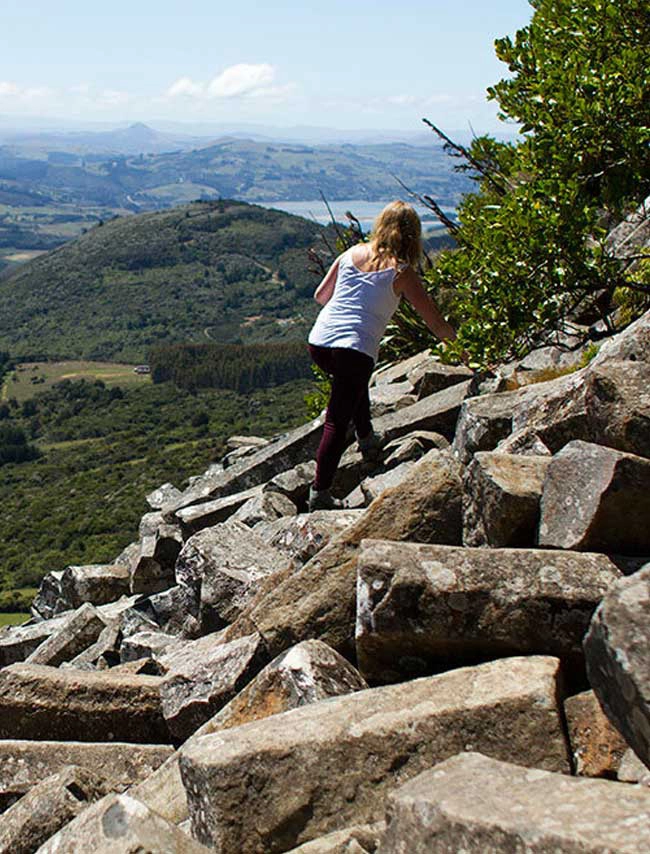 The Organ Pipes