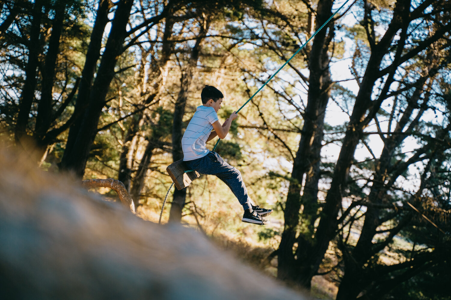 Hidden rope swings of Dunedin 