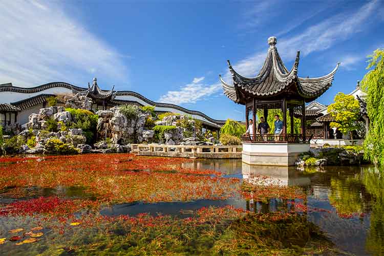 Lan Yuan Dunedin Chinese Gardens