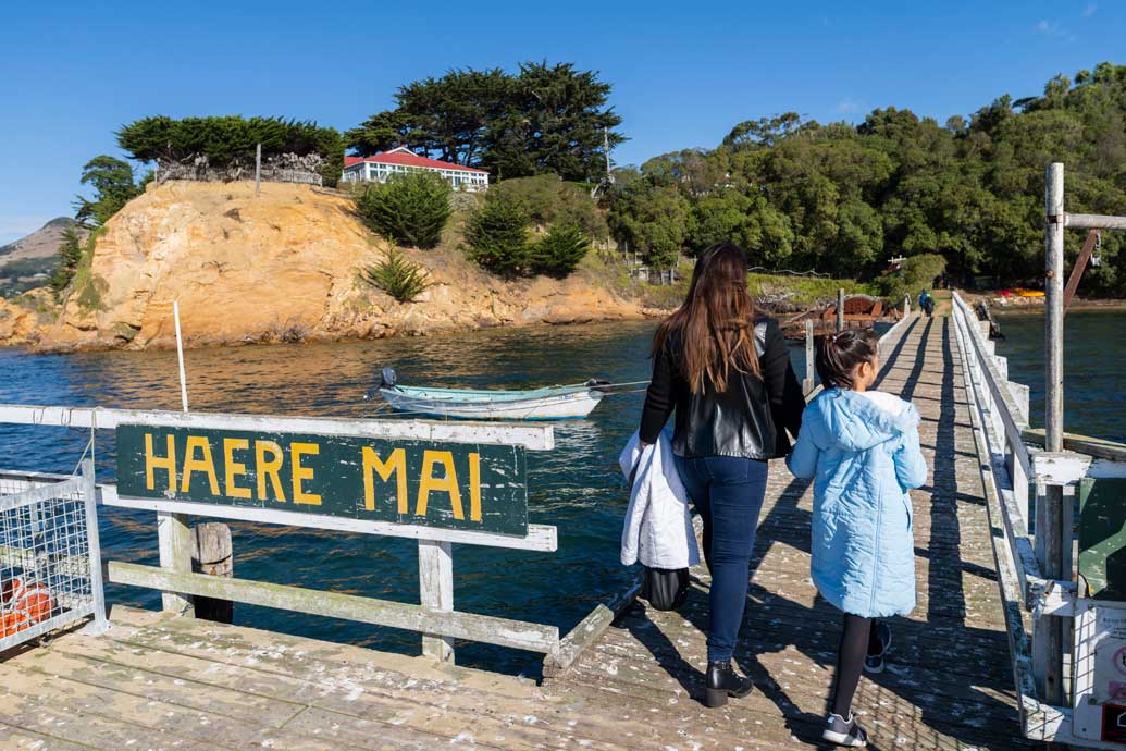 An island holiday - in Dunedin