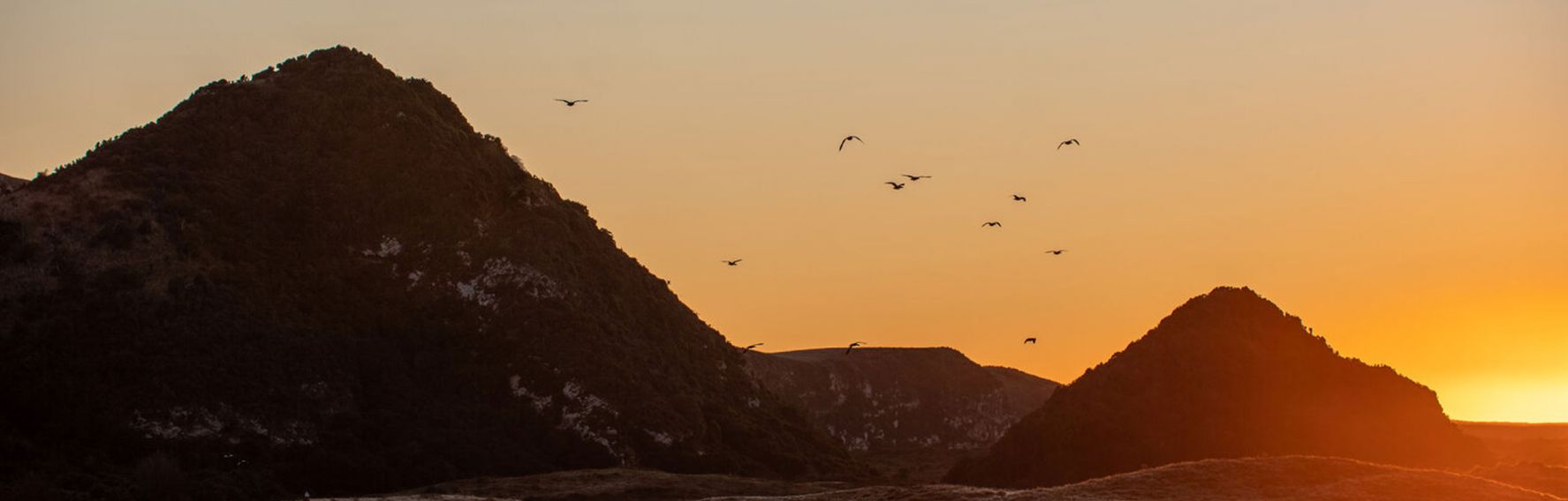 The Great Pyramids… Of Dunedin