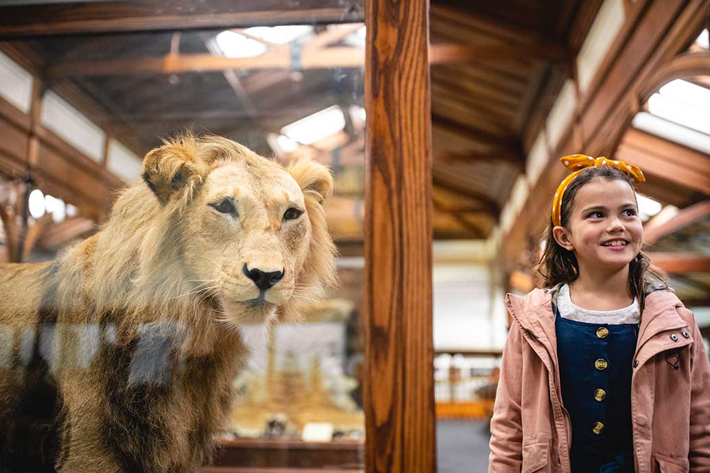 Kids love Otago Museum 