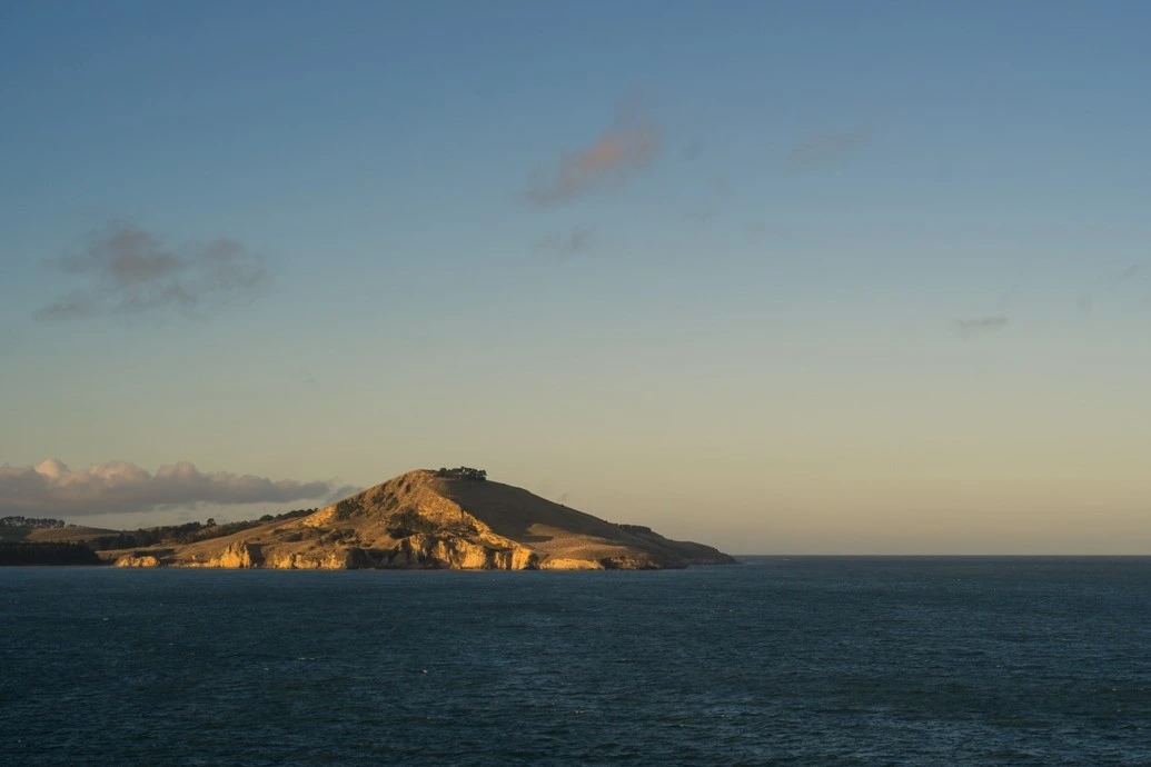 Scenic view from Karitāne looking over the ocean towards the outcrop of Matanaka on the other side.