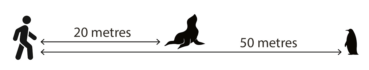 Wildlife Distance Wildlife Distance