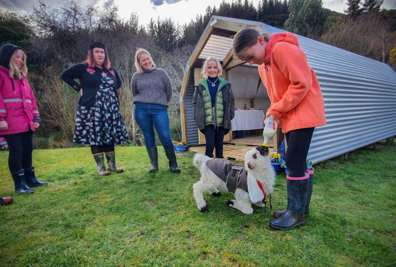 Family Farm Fun Iconic Tours