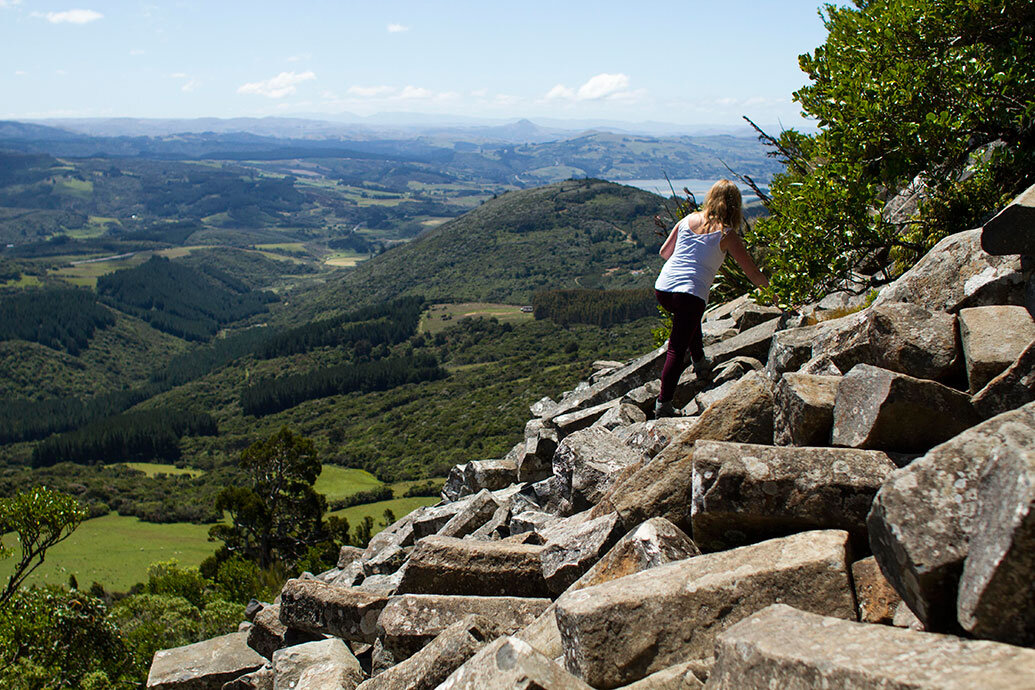 The Organ Pipes