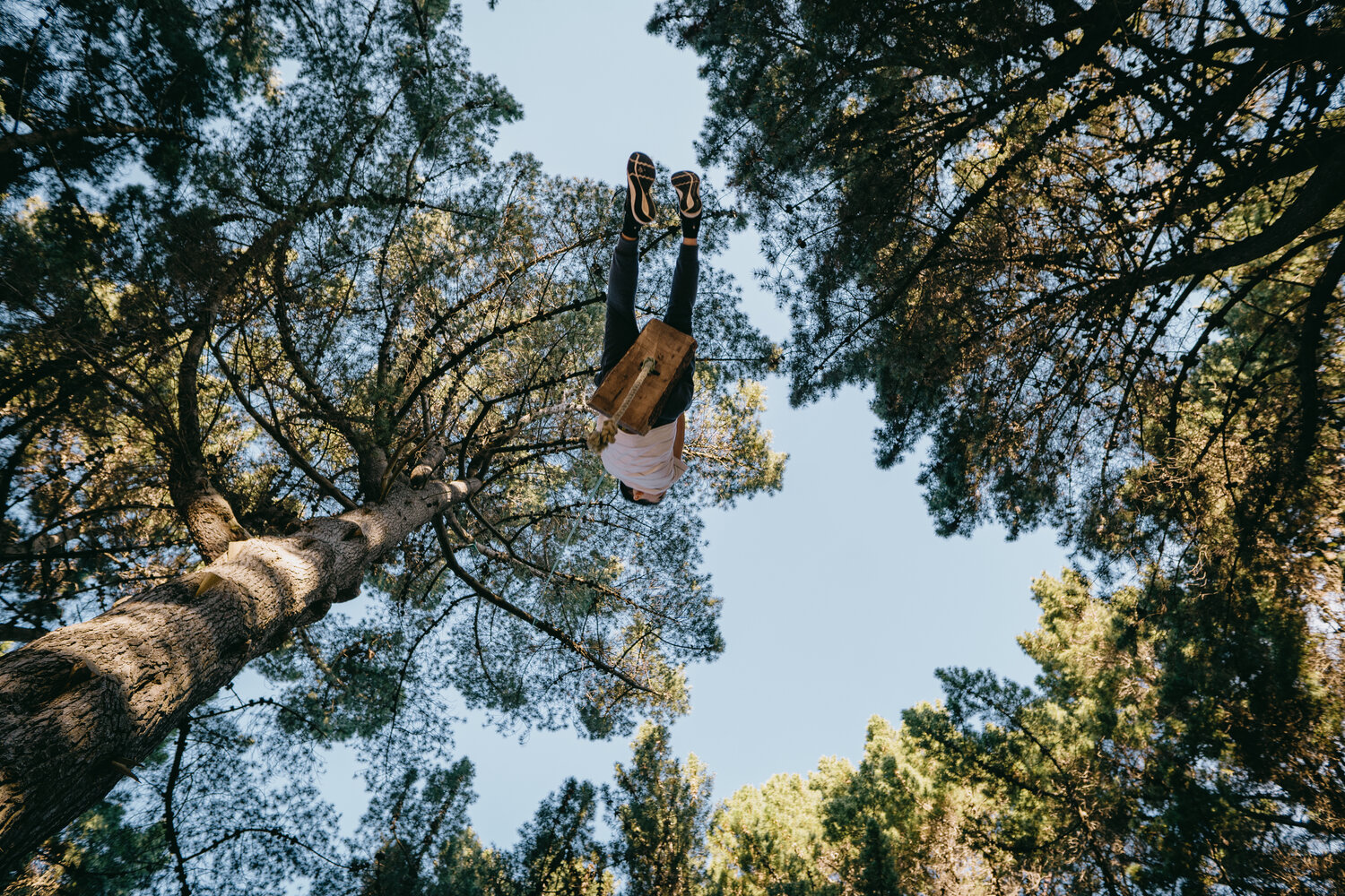 Hidden rope swings of Dunedin 