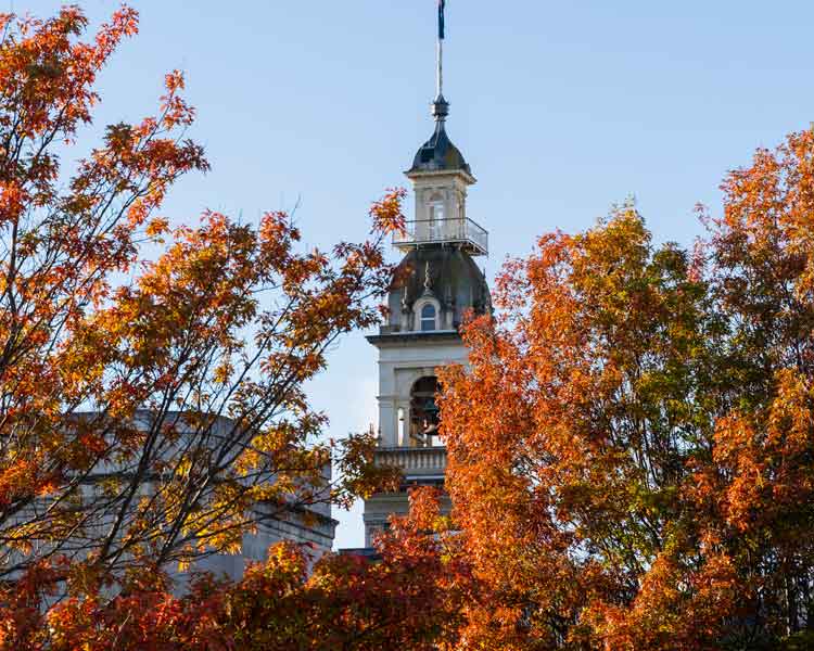 Dunedin Town Hall Tower