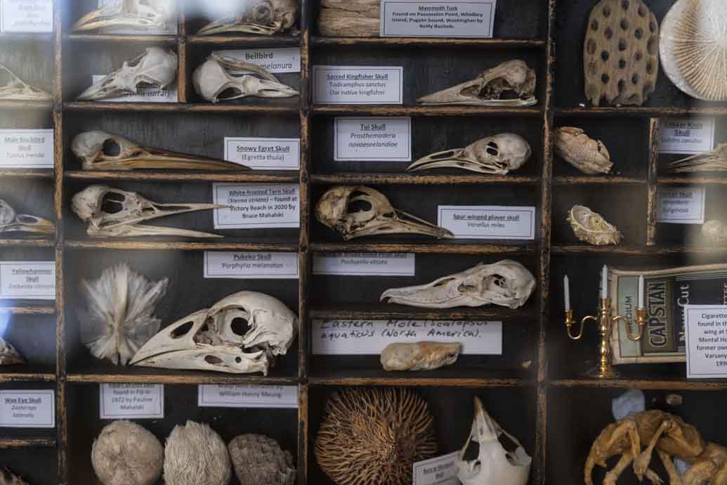 The Museum of Natural Mystery The Museum of Natural Mystery