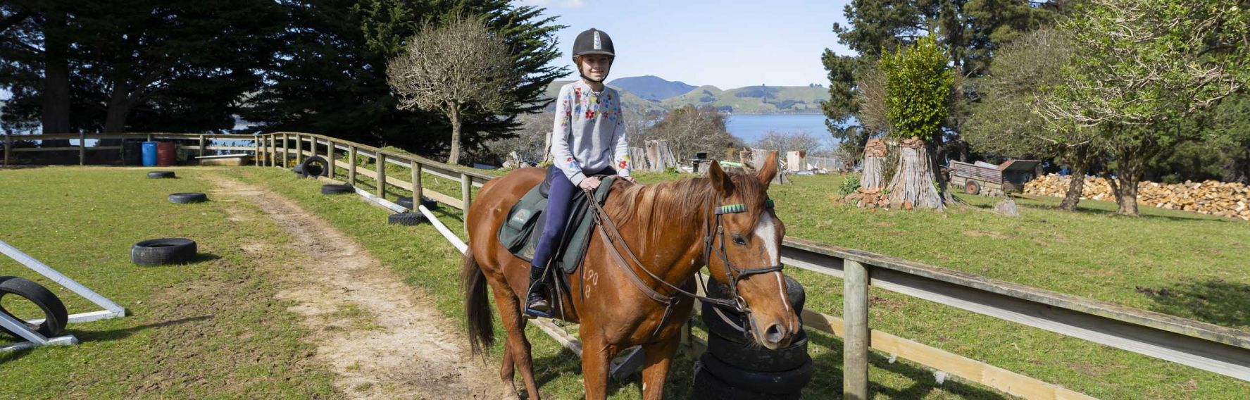 Hare Hill Horse Treks