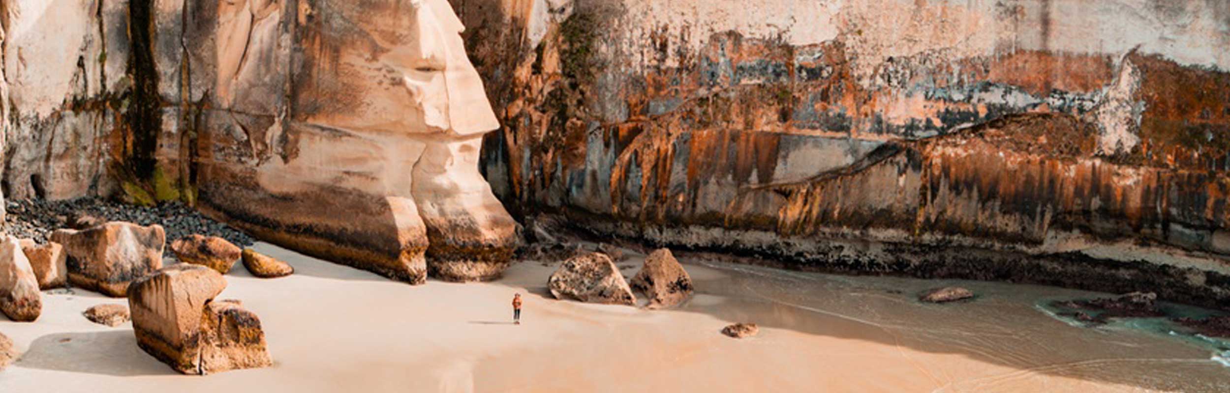 Permits Ōtepoti Dunedin New Zealand official website