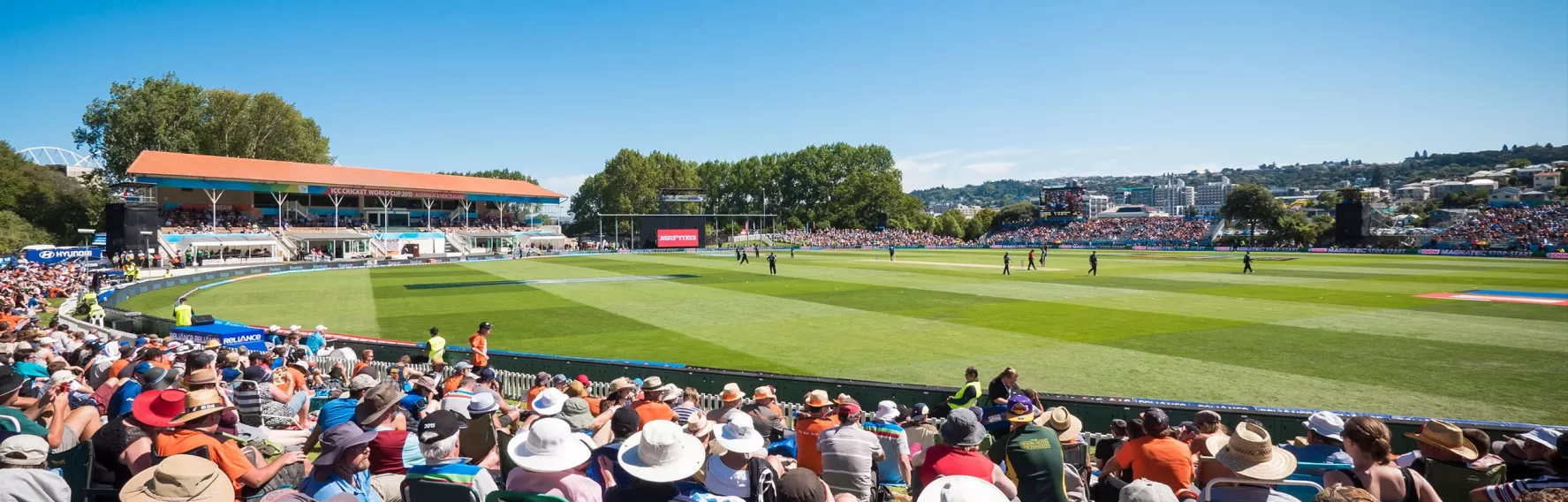 International Cricket