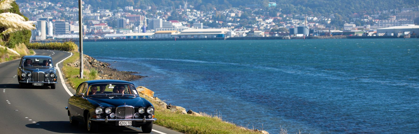 Limousines on the Otago Peninsula road.