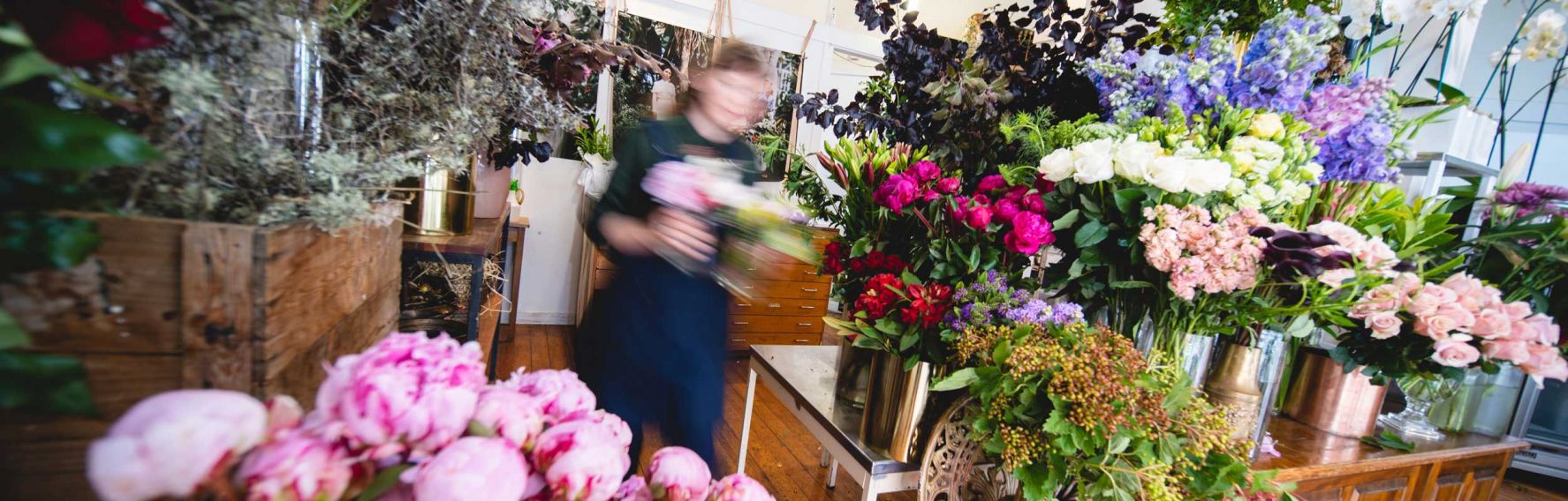 Florist in Dunedin