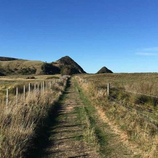 Dunedin Pyramids/Victory Beach