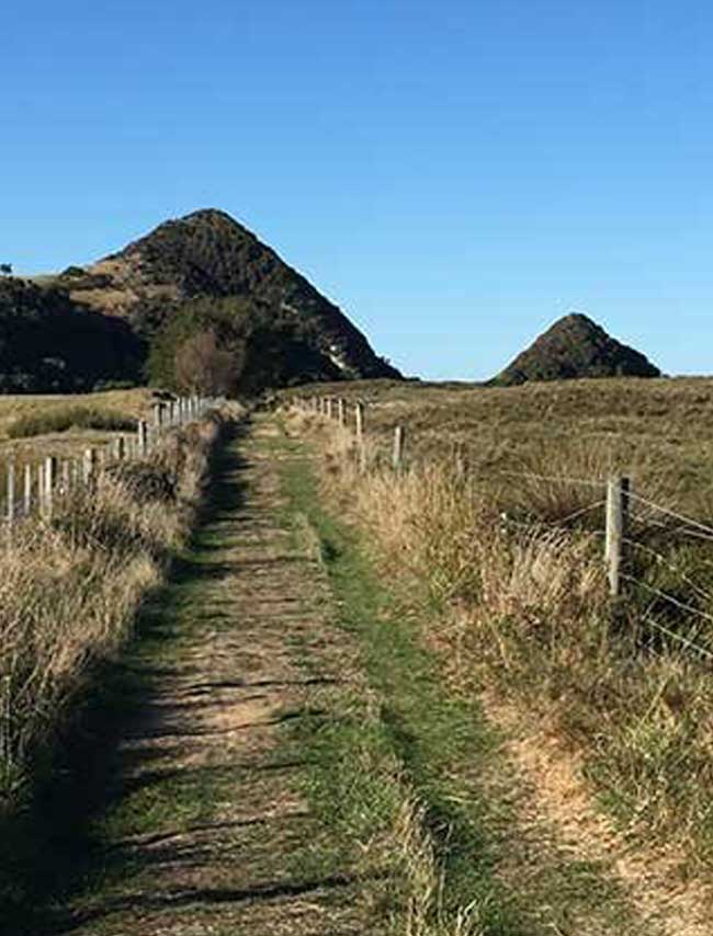 Dunedin Pyramids/Victory Beach