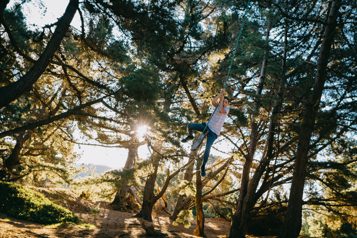 Hidden rope swings of Dunedin 