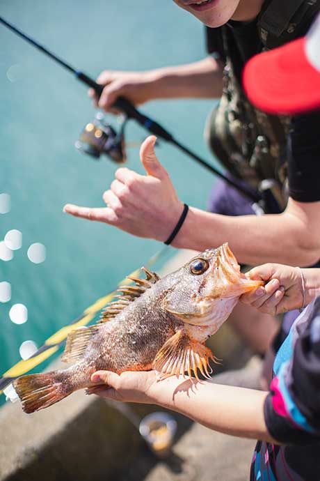 Sam’s Dunedin fishing tips