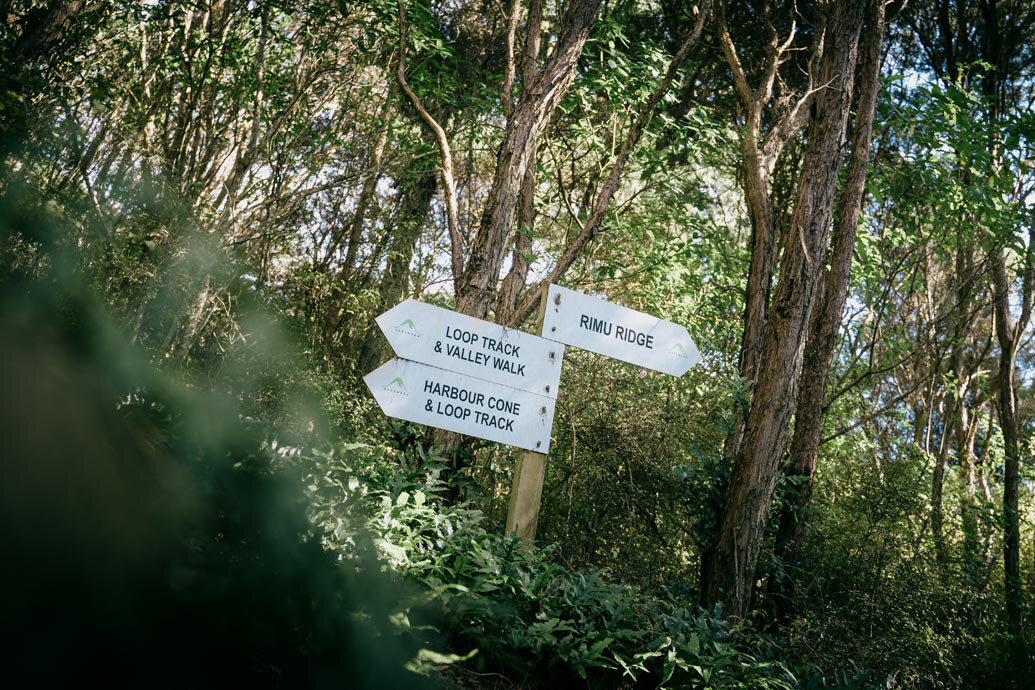 Hereweka Garden Retreat 