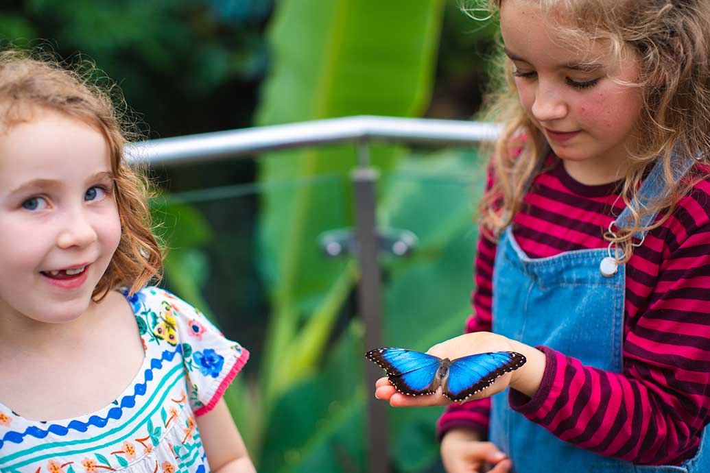 Kids love Otago Museum 