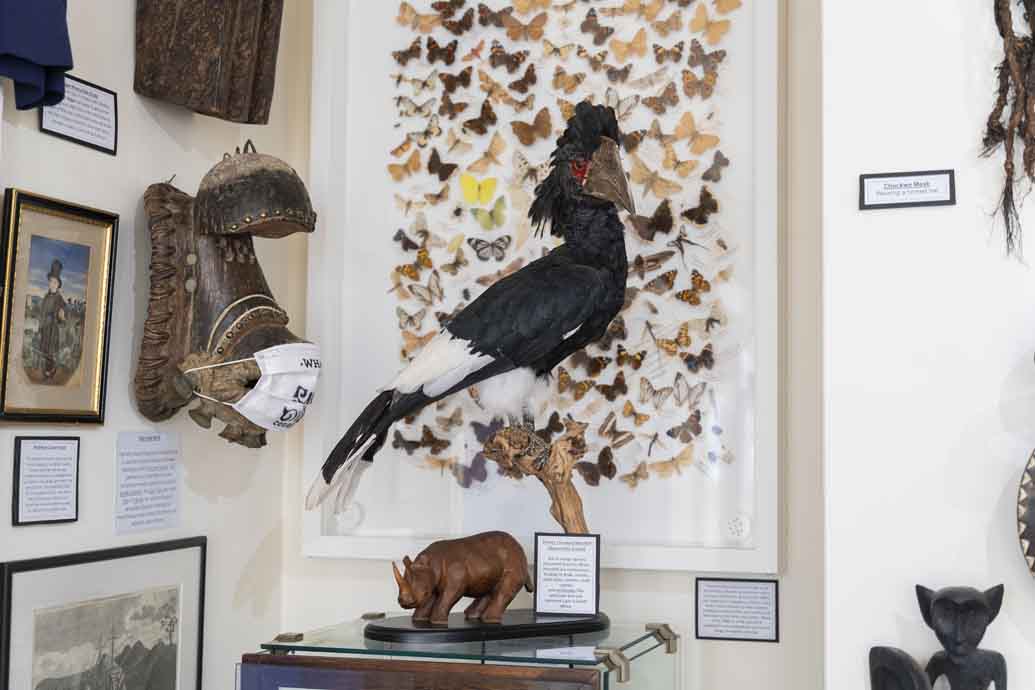 The Museum of Natural Mystery The Museum of Natural Mystery