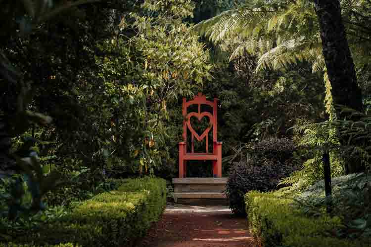 Larnach Gardens
