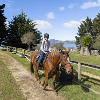 Hare Hill Horse Treks