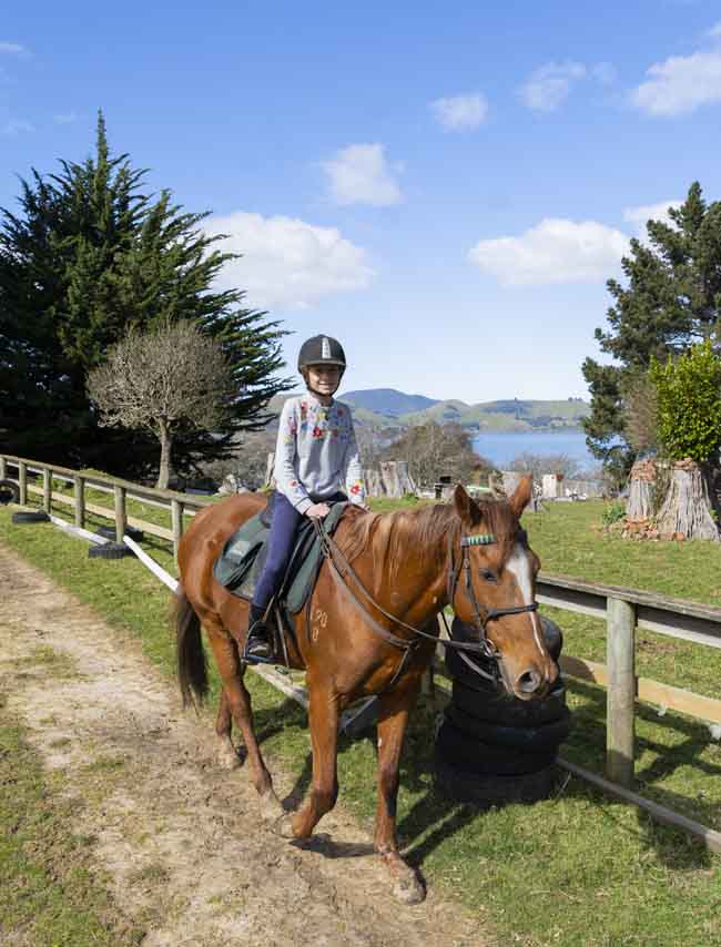 Hare Hill Horse Treks