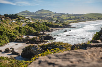 South Coast Surfari