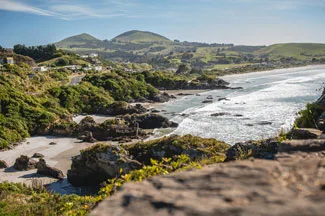 South Coast Surfari