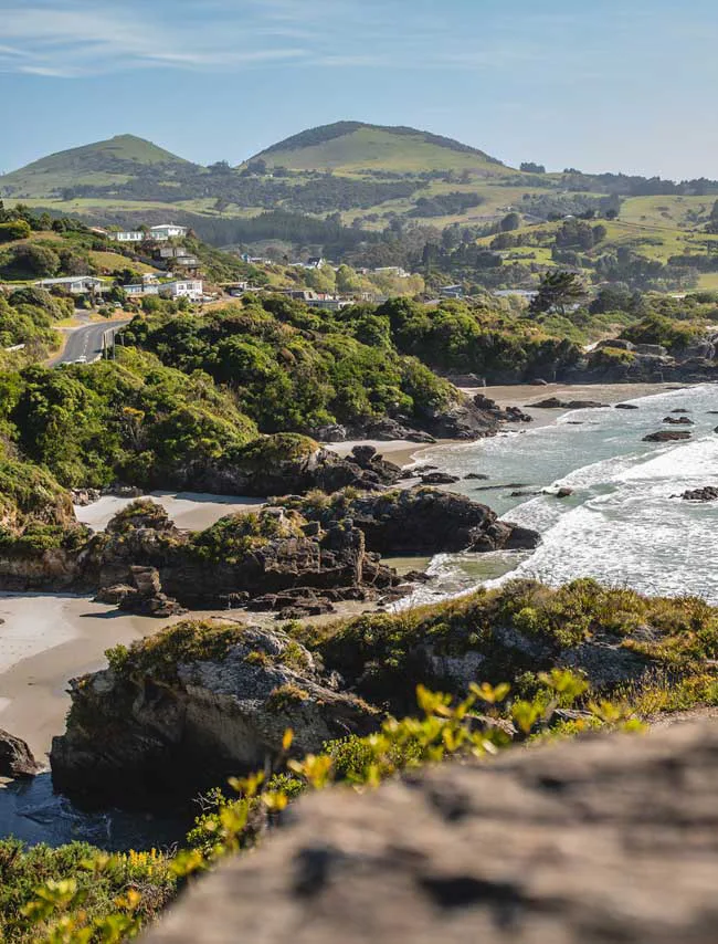South Coast Surfari