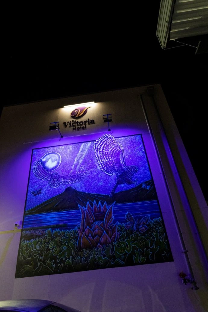 A UV paint mural lit up at night by blacklight depicts a noctural scene.